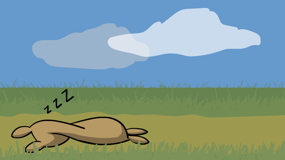 A flour sack sleeping and then waking up to stretch, hearing a loud noise, and running off into the distance.