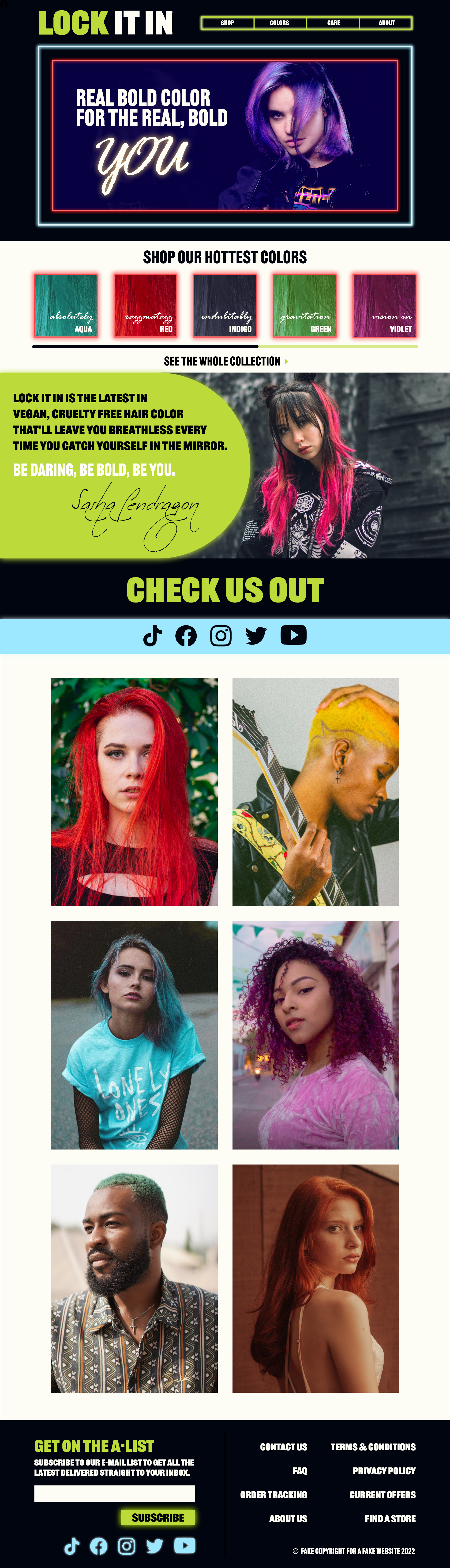 Landing page for Lock it In hair color