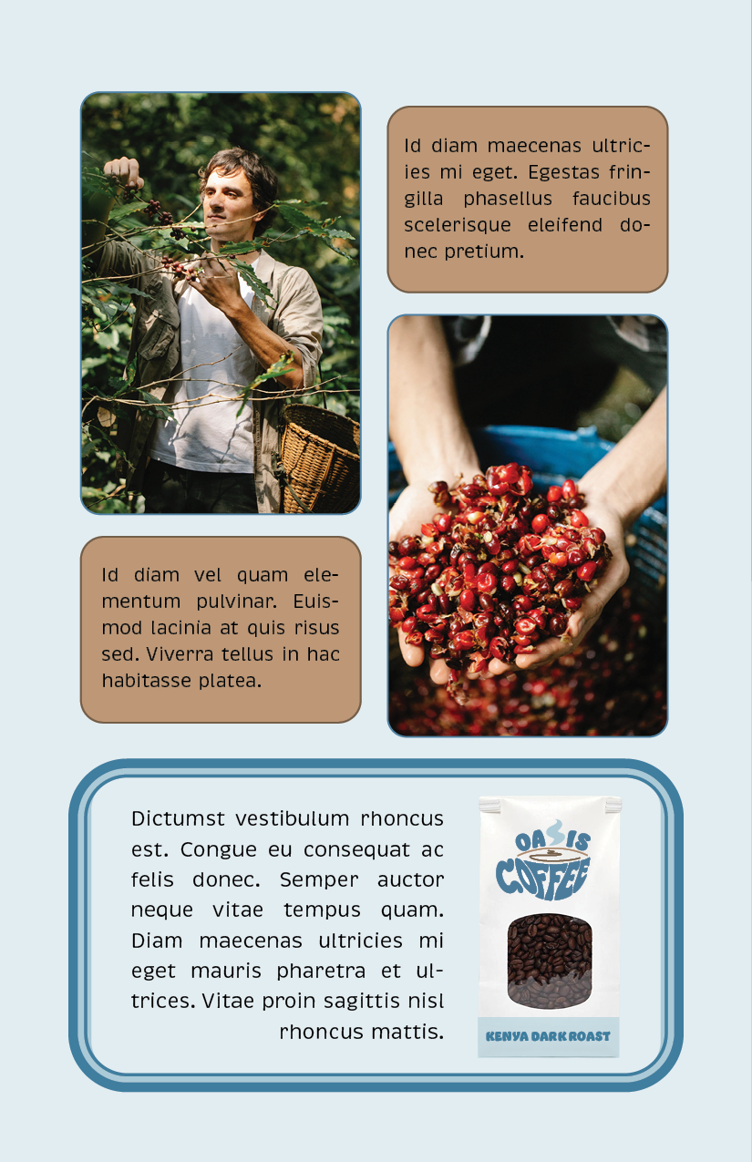 Page from the Oasis Coffee promotional booklet